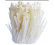 http://www.jamesstamp.net/image/cache/data/jinzhengu-380x380.png