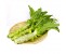 http://www.jamesstamp.net/image/cache/data/shengxian/shucai/261-380x380.jpg