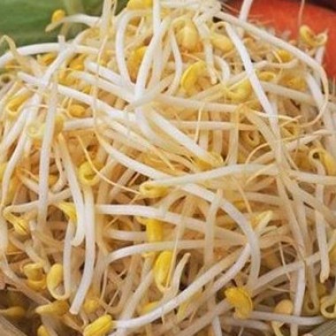 黃豆芽500g